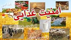 اجازه کوچک سازی سازمان دامپزشکی را نمی‌دهیم.